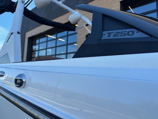 mv1k9v8b